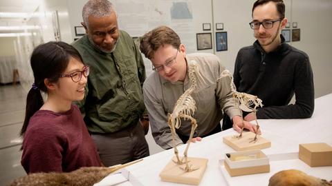 Kris Snibbe/Harvard Staff Photographer