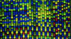 autoseq.jpg