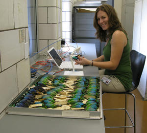 Allison Shultz in MCZ Collections