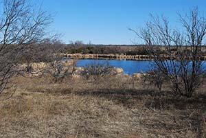 pond2.jpg