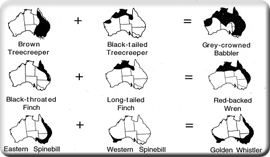 Species