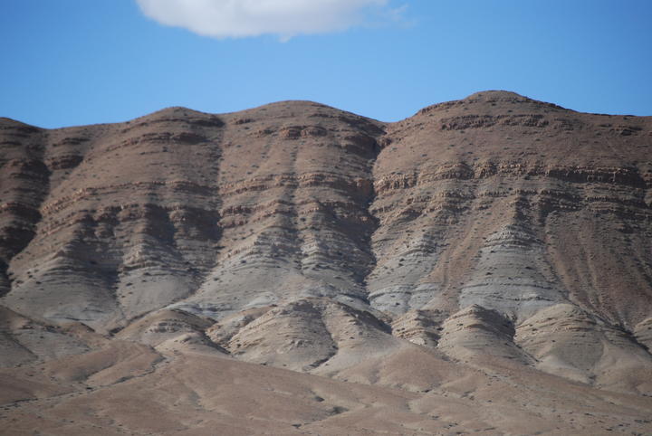 dsc_4955.jpg
