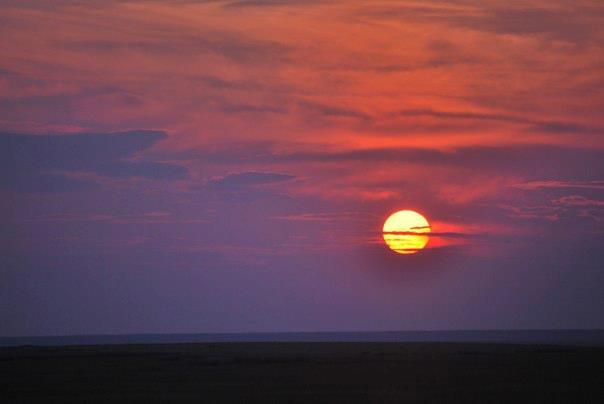 Mongolia, Summer 2012