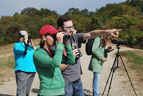 Plum Island Birding_2422