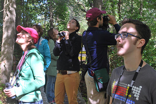 Plum Island Birding_2430