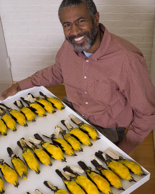 Scott Edwards with a tray of birds in the MCZ